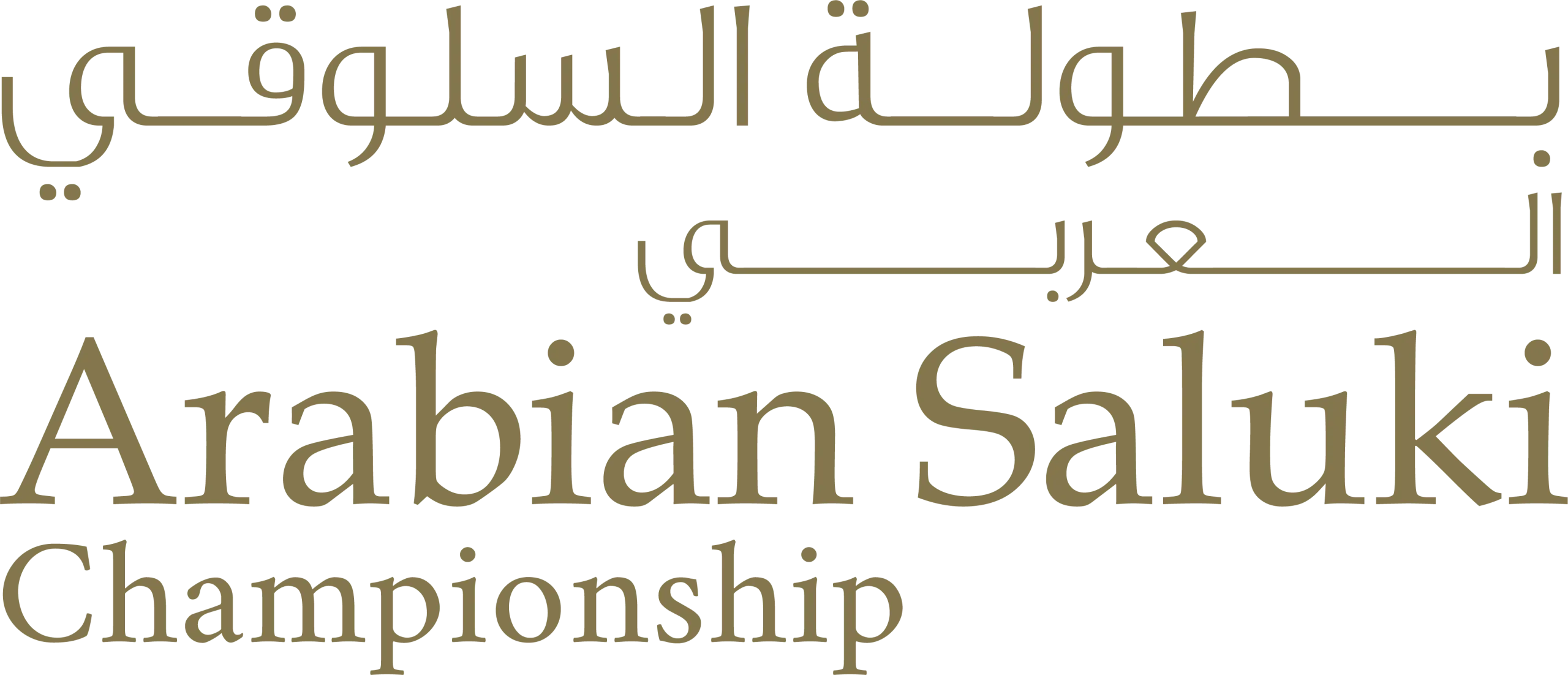 بطولة السلوقي العربي 2026–2027