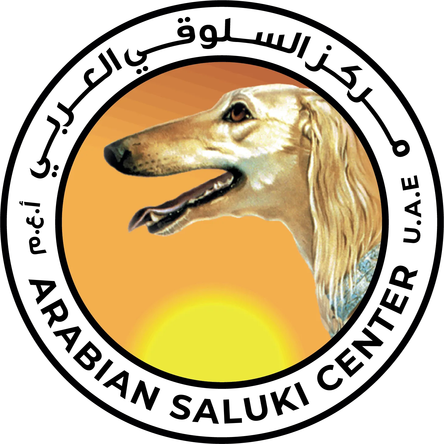 Arabian Saluki Center